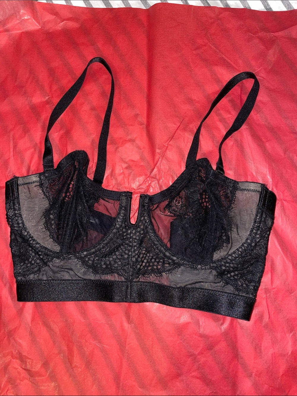 Thistle and Spire Black Sheer Lace Longline Bra with Underwire